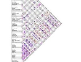 Triangular relationship matrix scoring proximity needs between every pair of areas